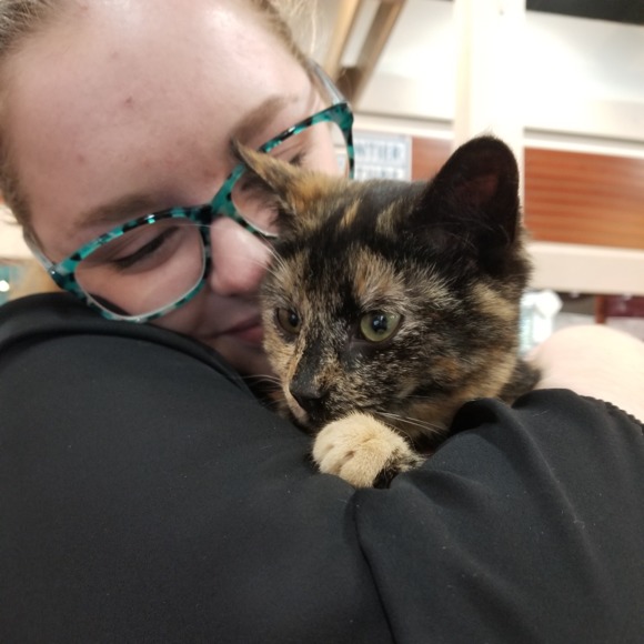 Meet your Posher, Shelby - Picture 2 of 2